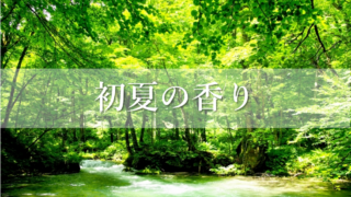 Thumbnail of post image 004